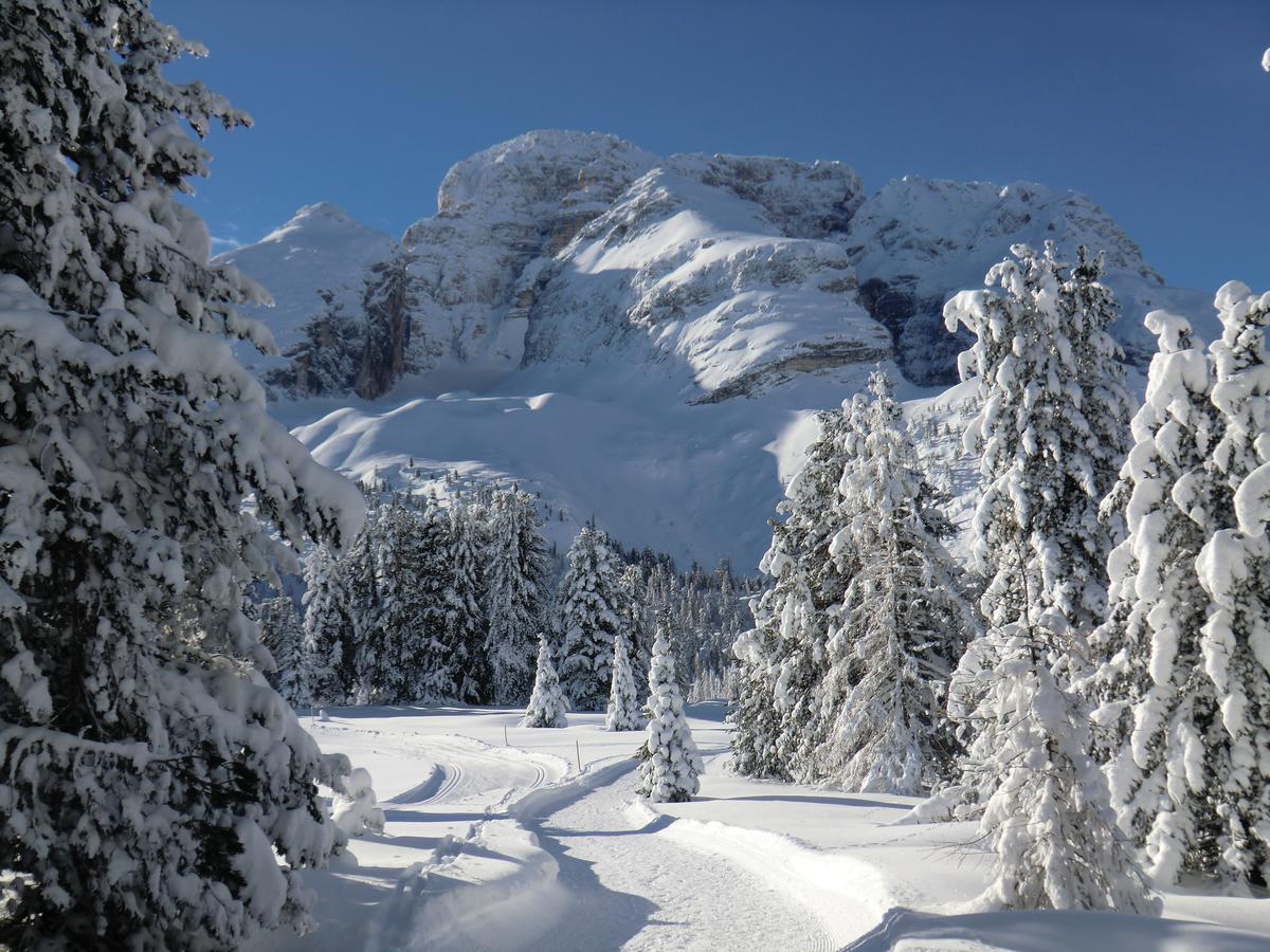 Hotel Edelweiss Braies  Luaran gambar