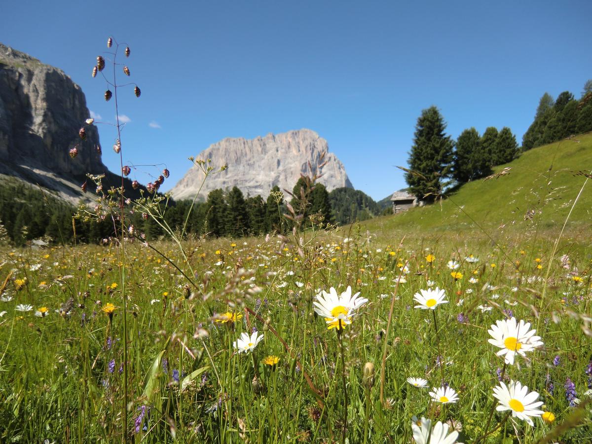 Hotel Edelweiss Braies  Luaran gambar