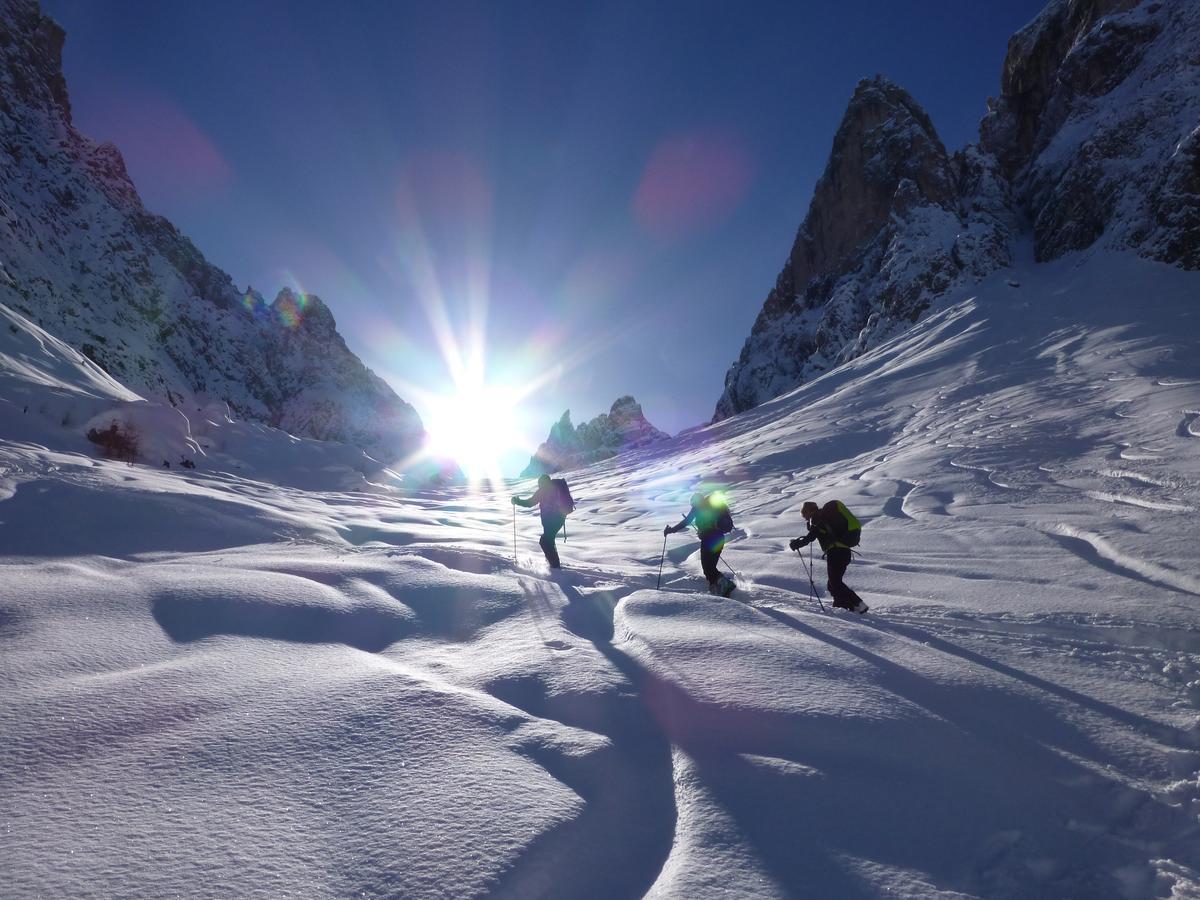 Hotel Edelweiss Braies  Luaran gambar