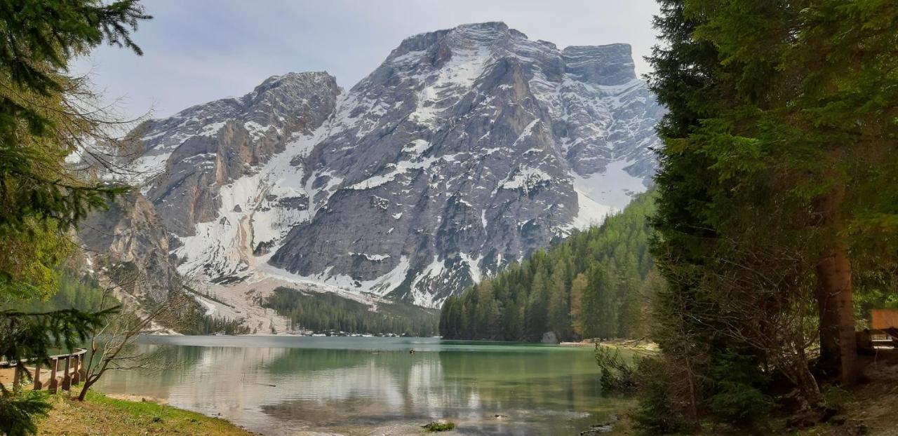 Hotel Edelweiss Braies  Luaran gambar